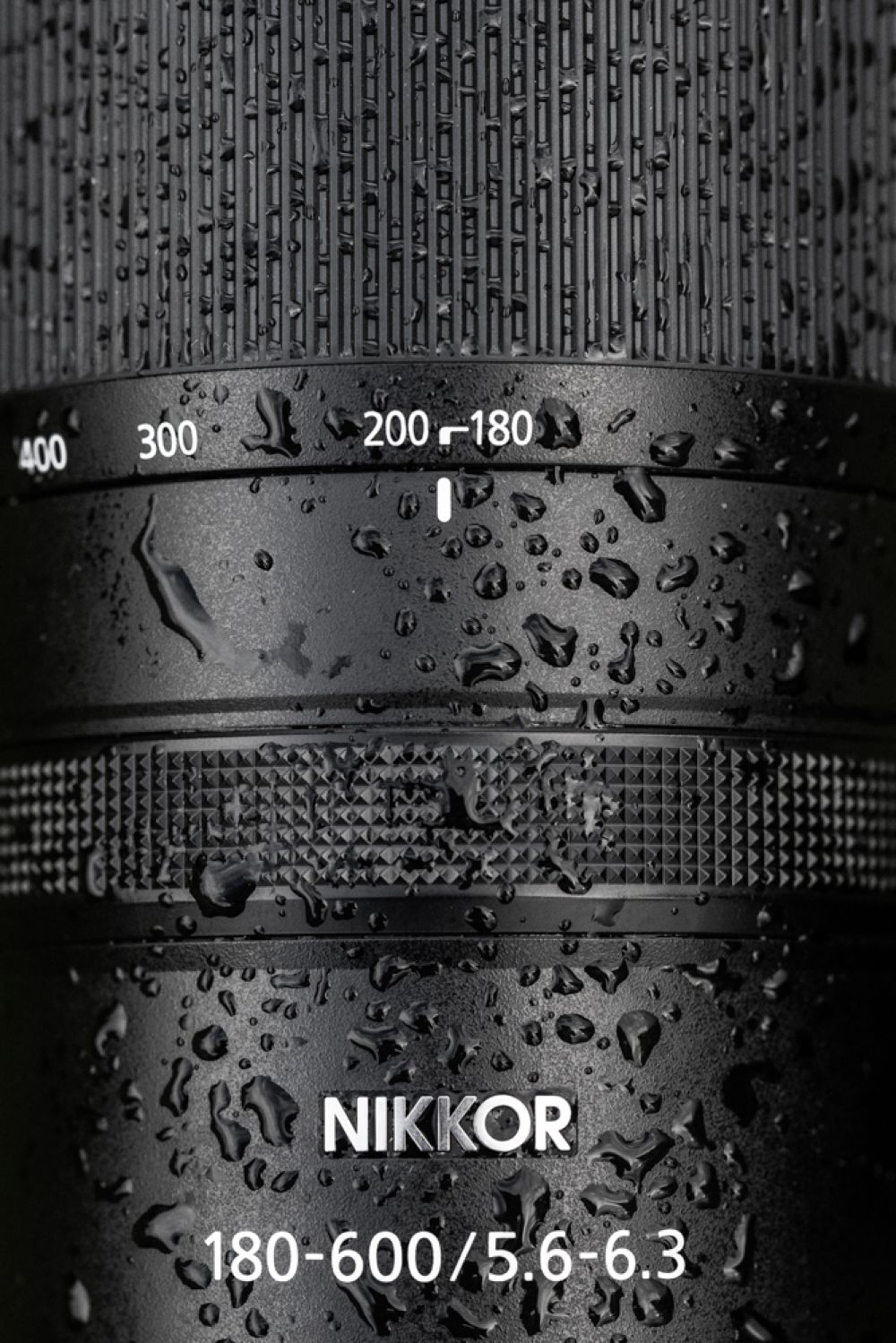 Beispielfotos mit dem Nikon Z 180-600 5.6-6.3.