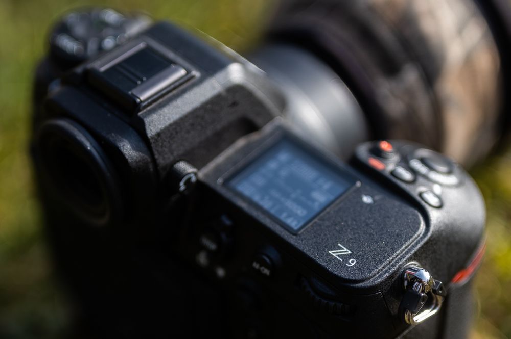 With 45 megapixels, animal-eye autofocus and 20 frames per second, the new Nikon Z9 seems to be the ideal camera for wildlife photographers. But does the camera live up to its promise out in nature? I have been able to test the Z9 since Christmas and have summarised my first impressions in this article.