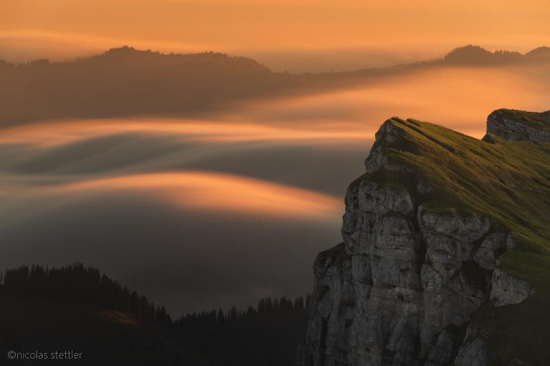 Moving mist during sunrise.