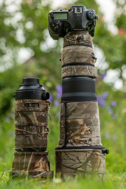 The Nikon 500mm f/4 FL ED VR vs the Sigma 150-600 Sports