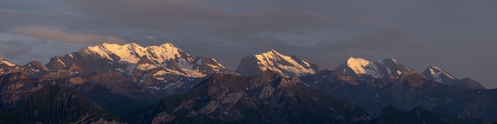 Tierfotos Beispiele mit der Nikon Z9 und dem 70-200mm 2.8.