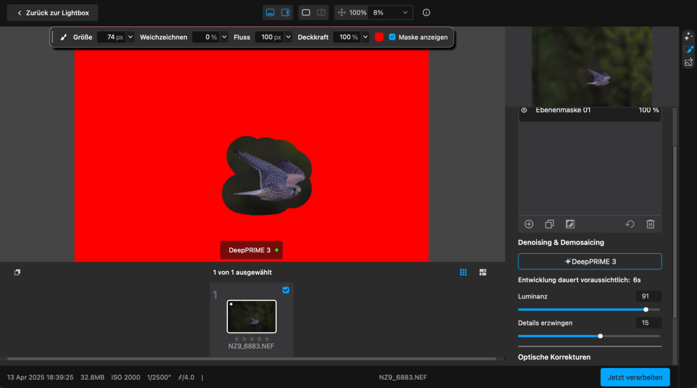 Beispielfotos mit dem Nikon Z 180-600 5.6-6.3.