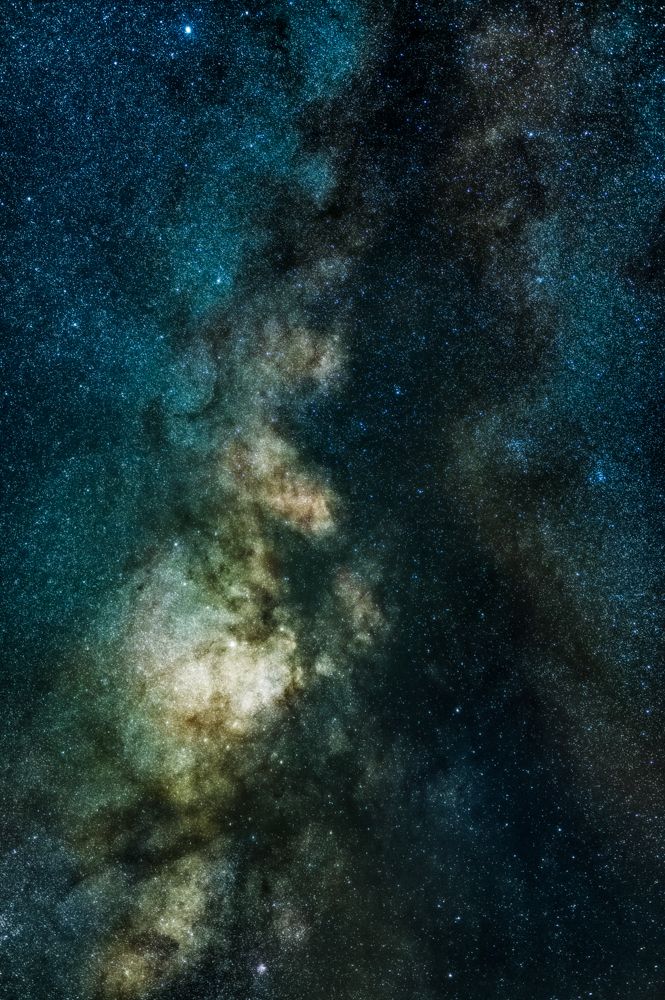 Zwei Kraniche vor Sonnenaufgang im Nebel.