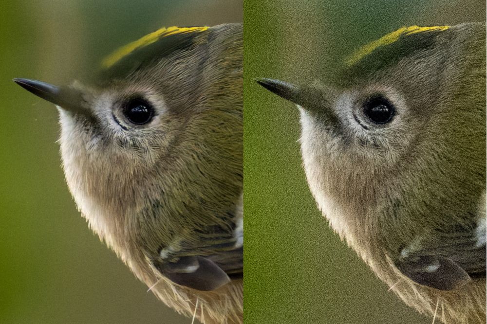 Das Nikon Z 135 1.8 S Plena zusammen mit der Nikon Z 8 im Schnee.