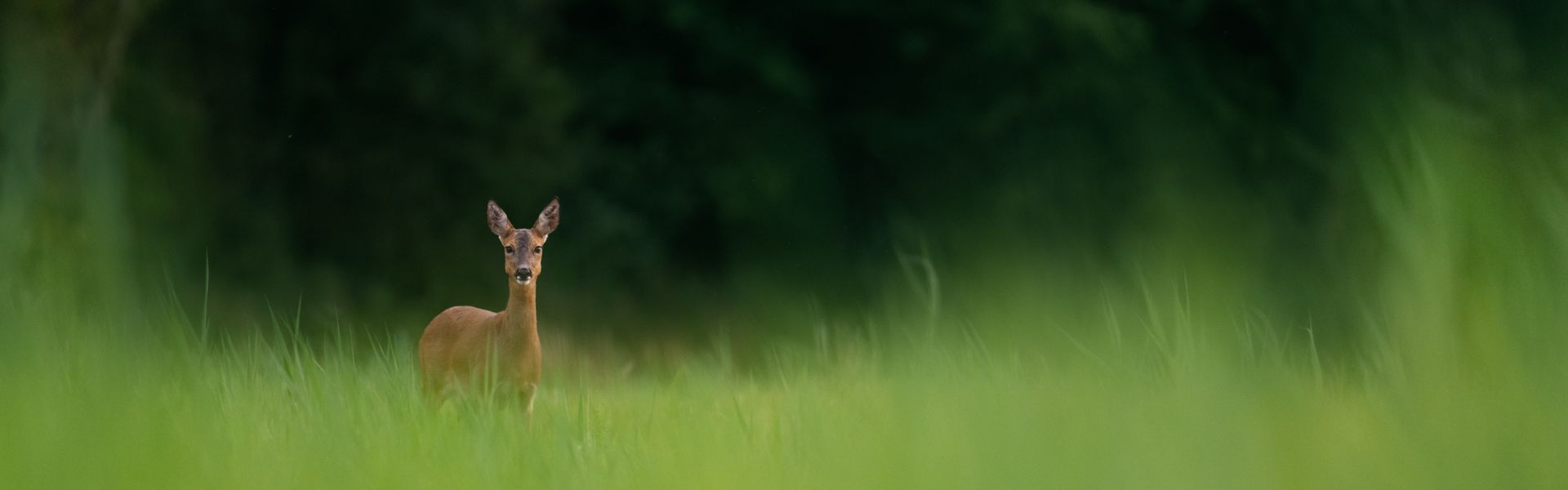 Reisen mit Nicolas Stettler