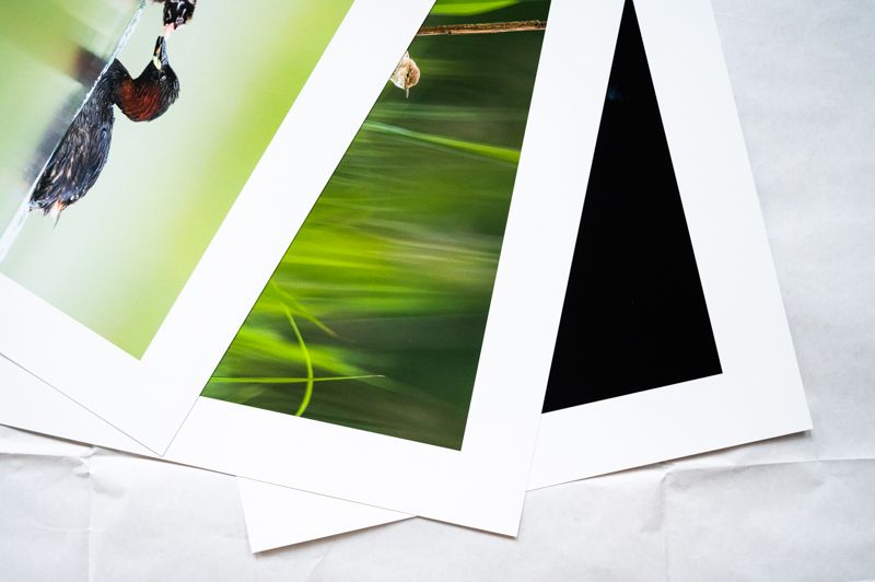 FineArt Print