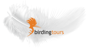 Birdingtours Logo