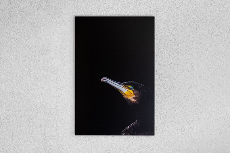 AluDibond Print