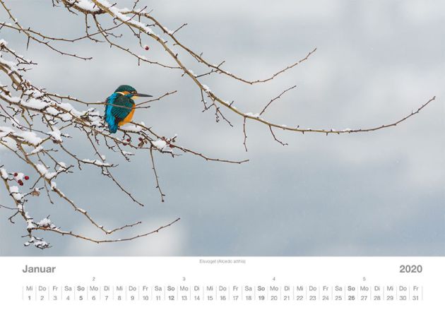 images/Angebote/Kalender/Januar.jpg