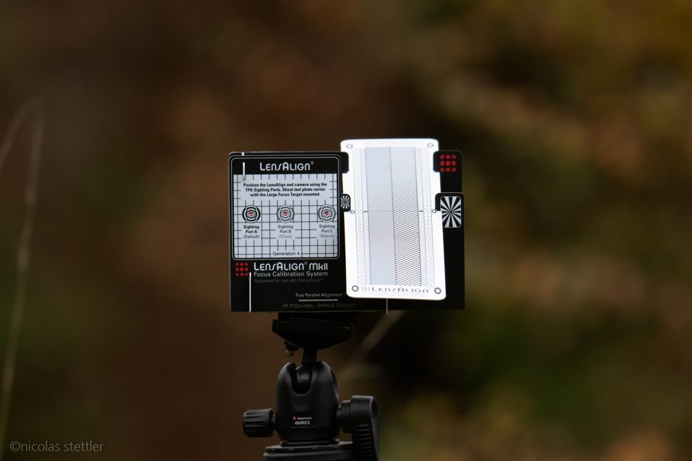 Ein Testfoto mit dem Nikon 500mm f4E.