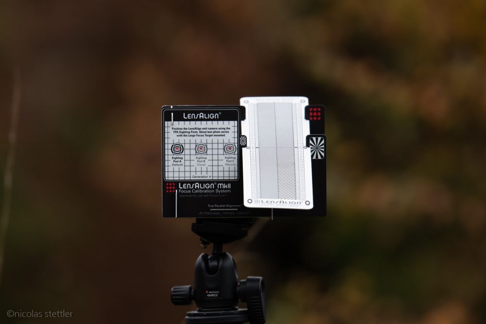 Ein Testfoto mit dem Nikon 500mm f4E und dem TC14E III.